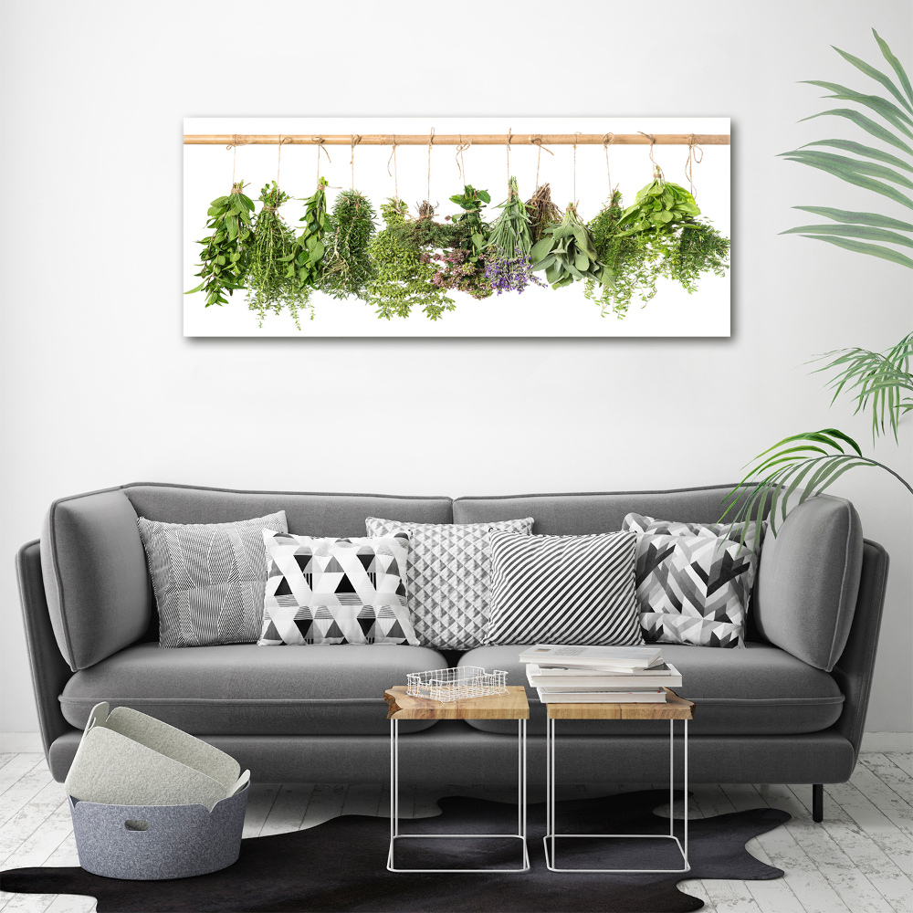 Acrylic print Herbs on a string