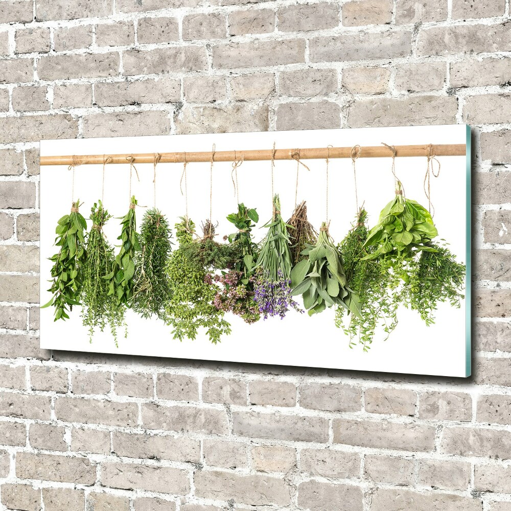 Acrylic print Herbs on a string