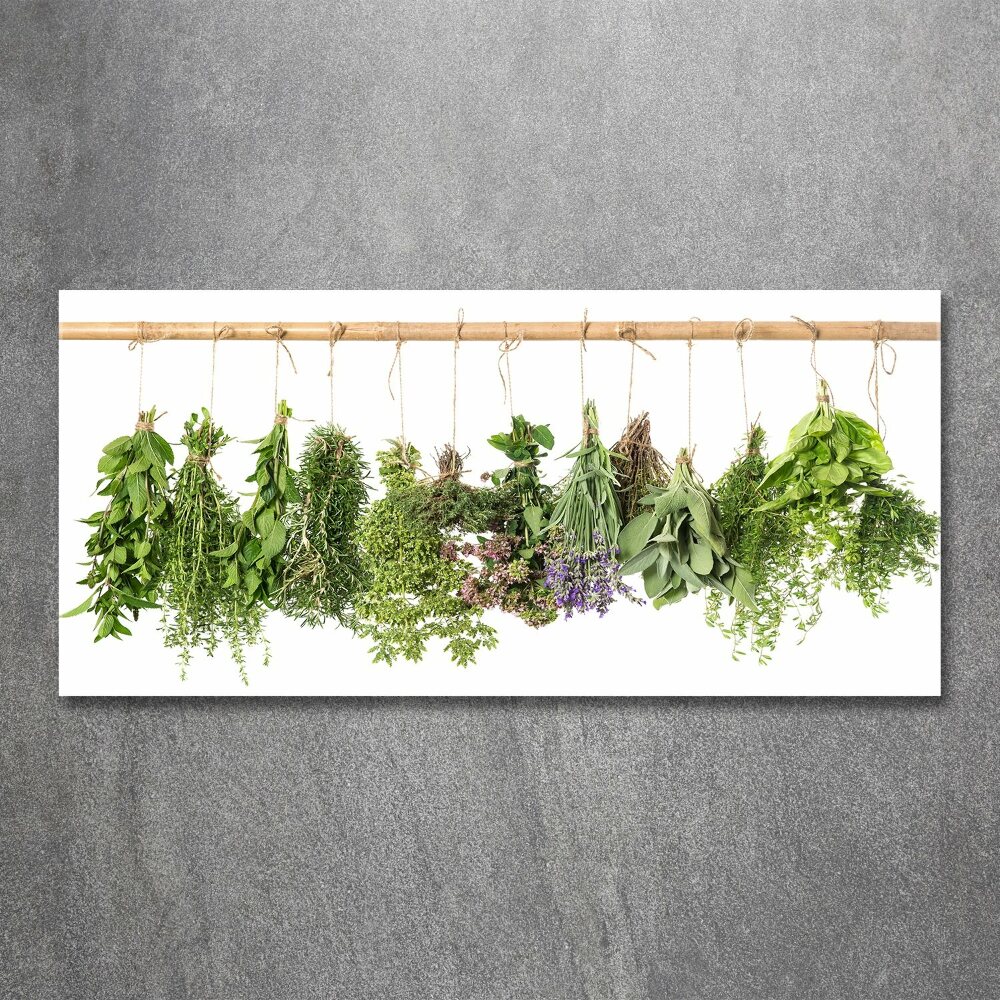 Acrylic print Herbs on a string