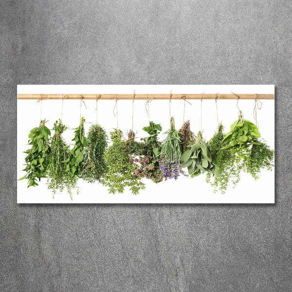 Acrylic print Herbs on a string