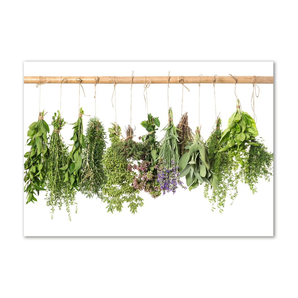 Acrylic print Herbs on a string