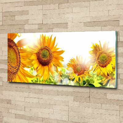 Wall art acrylic Sunflowers