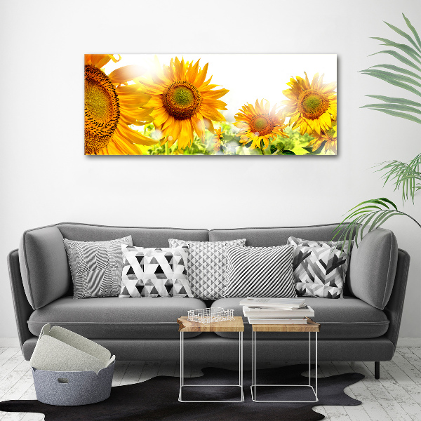 Wall art acrylic Sunflowers