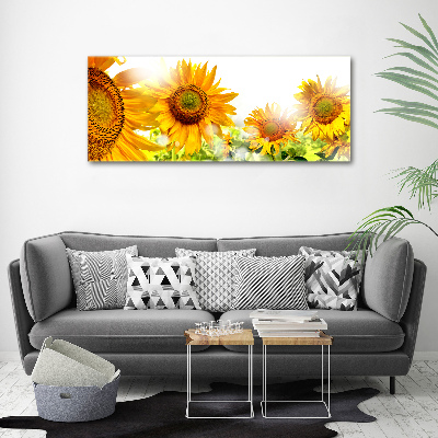 Wall art acrylic Sunflowers