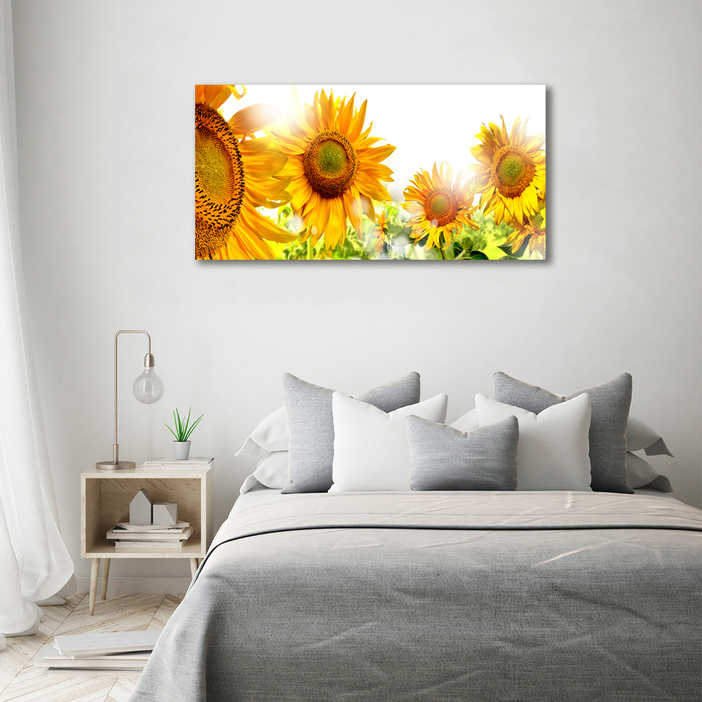 Wall art acrylic Sunflowers