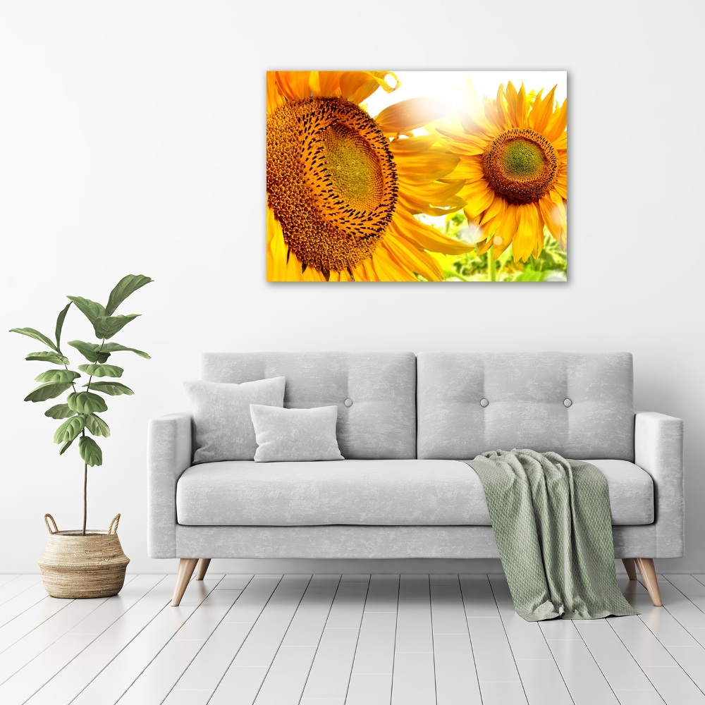 Wall art acrylic Sunflowers