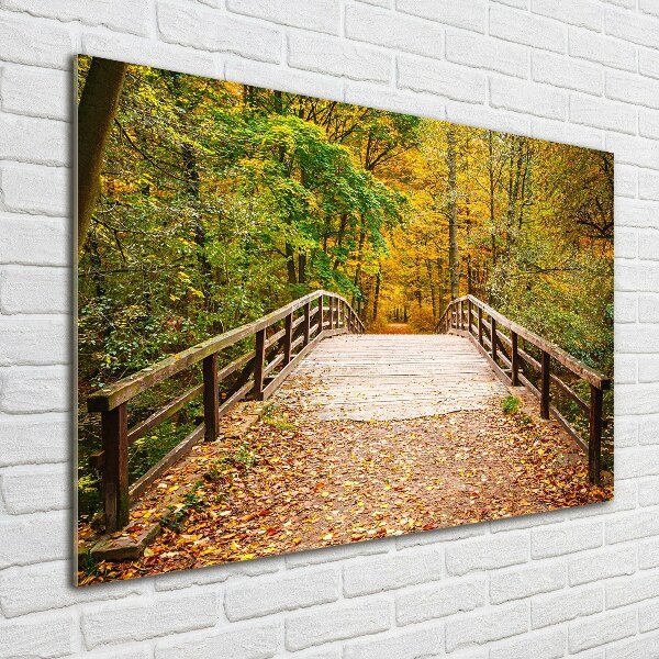 Print on acrylic Bridge in the Forest Autumn