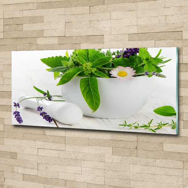 Glass acrylic wall art Mortar and herbs