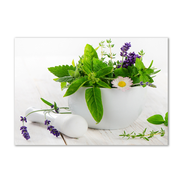 Glass acrylic wall art Mortar and herbs