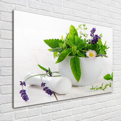 Glass acrylic wall art Mortar and herbs