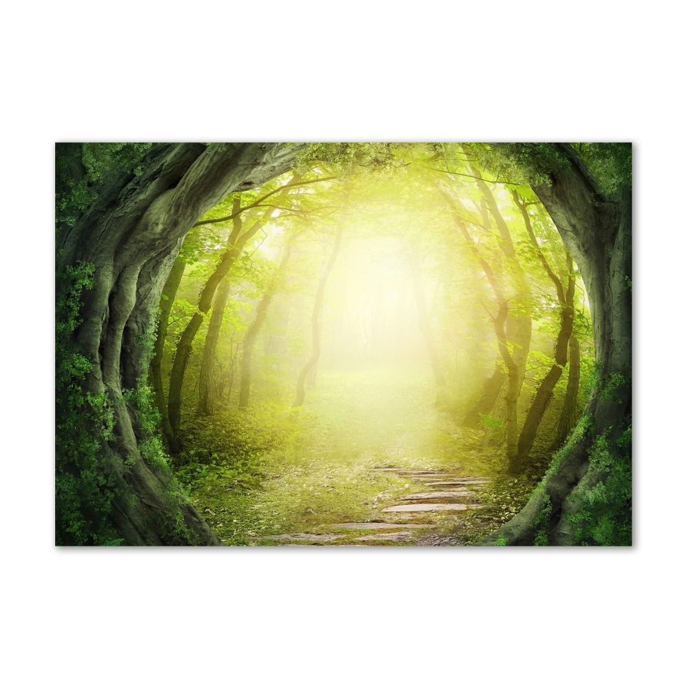 Wall art acrylic Tunnel of trees