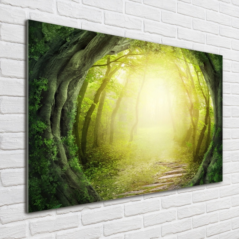 Wall art acrylic Tunnel of trees