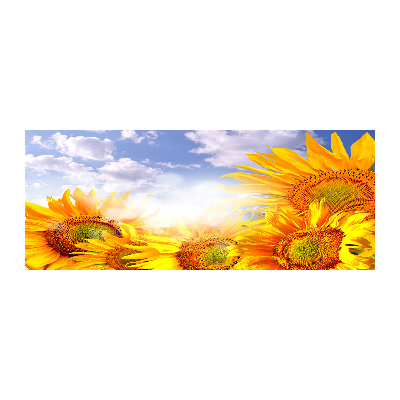 Acrylic wall art Sunflowers