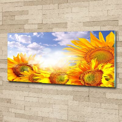 Acrylic wall art Sunflowers