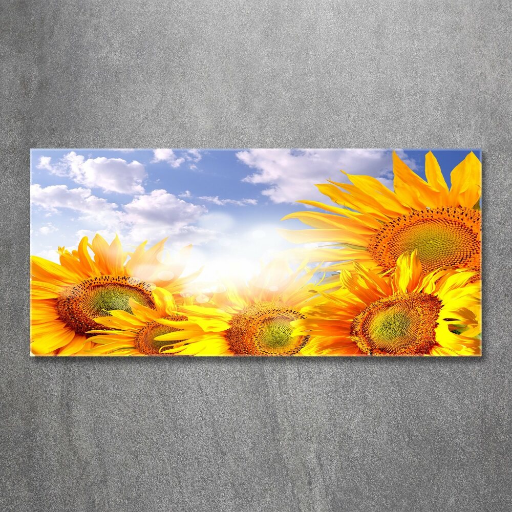 Acrylic wall art Sunflowers