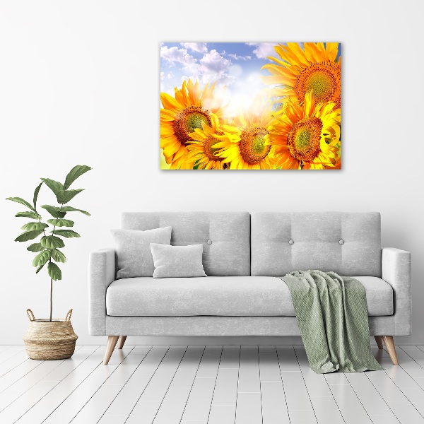 Acrylic wall art Sunflowers