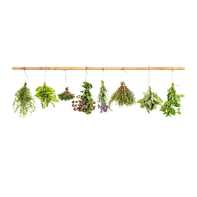 Glass acrylic wall art Herbs on a string