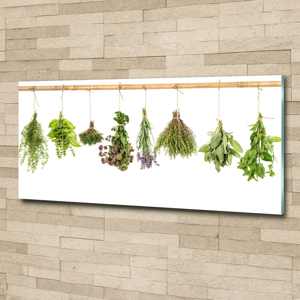 Glass acrylic wall art Herbs on a string