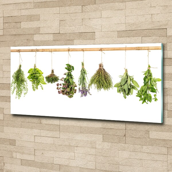 Glass acrylic wall art Herbs on a string