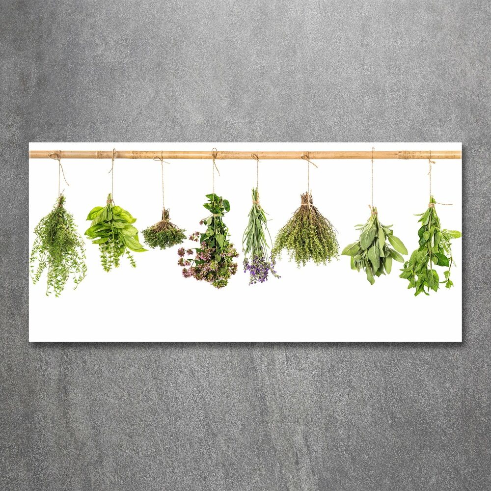 Glass acrylic wall art Herbs on a string