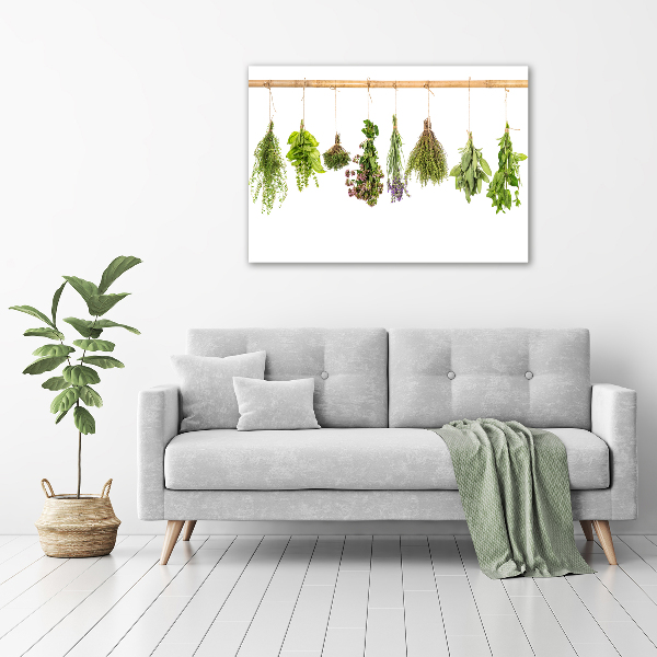 Glass acrylic wall art Herbs on a string