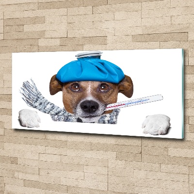 Acrylic print Sick dog