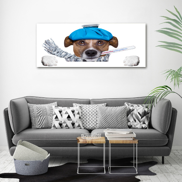 Acrylic print Sick dog