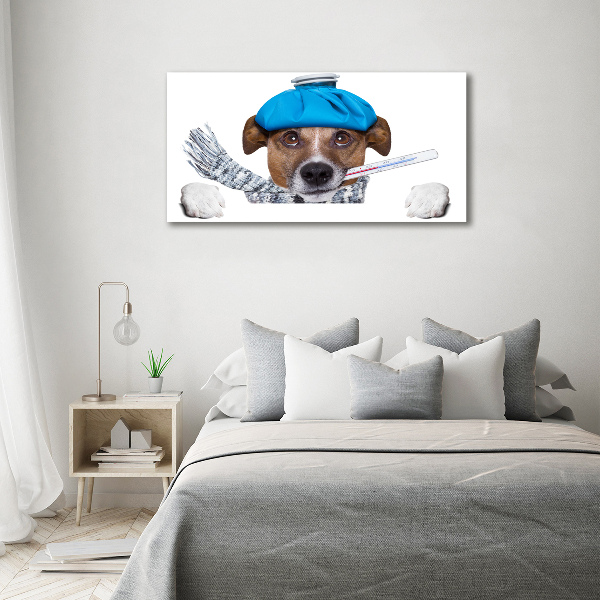 Acrylic print Sick dog