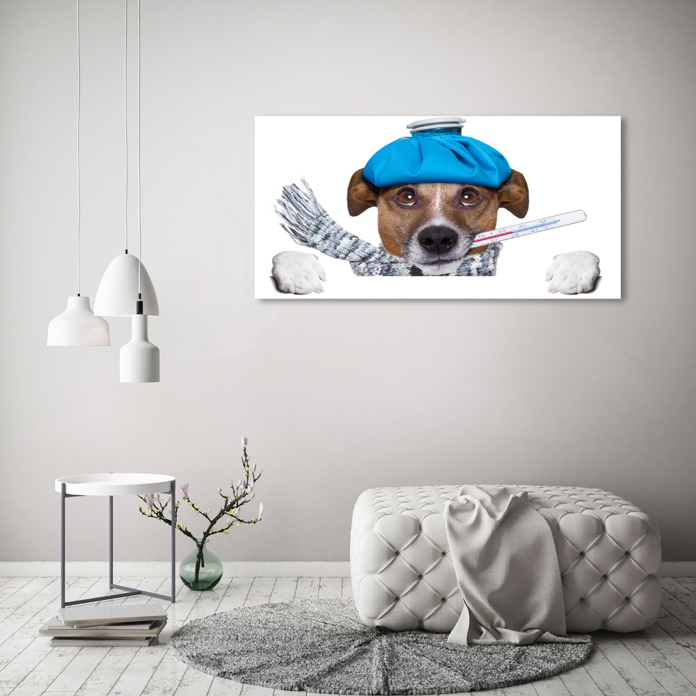 Acrylic print Sick dog