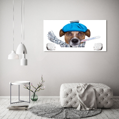 Acrylic print Sick dog