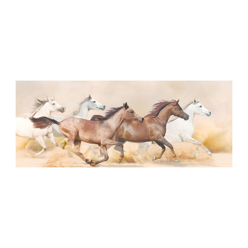 Acrylic print Horses at gallop