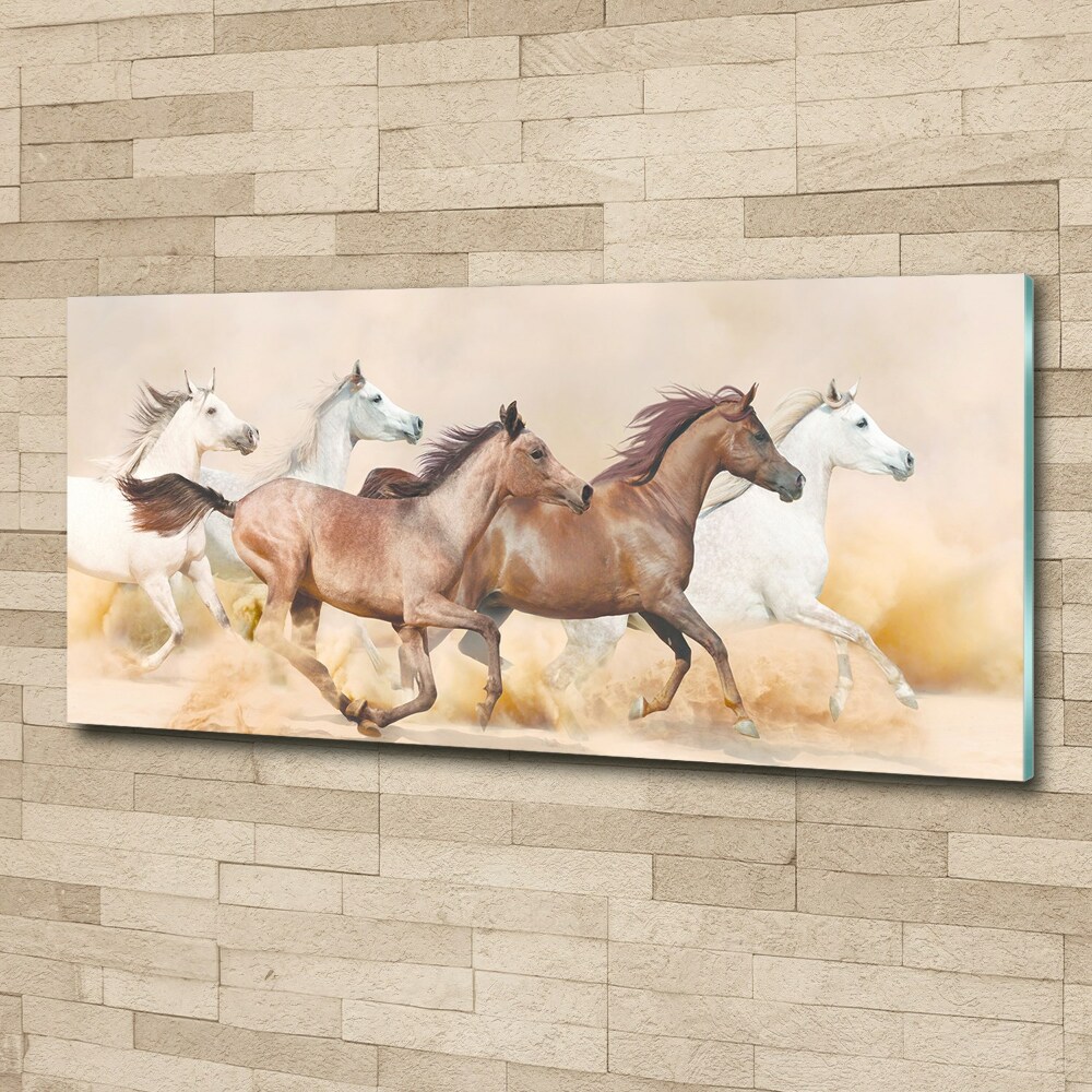 Acrylic print Horses at gallop