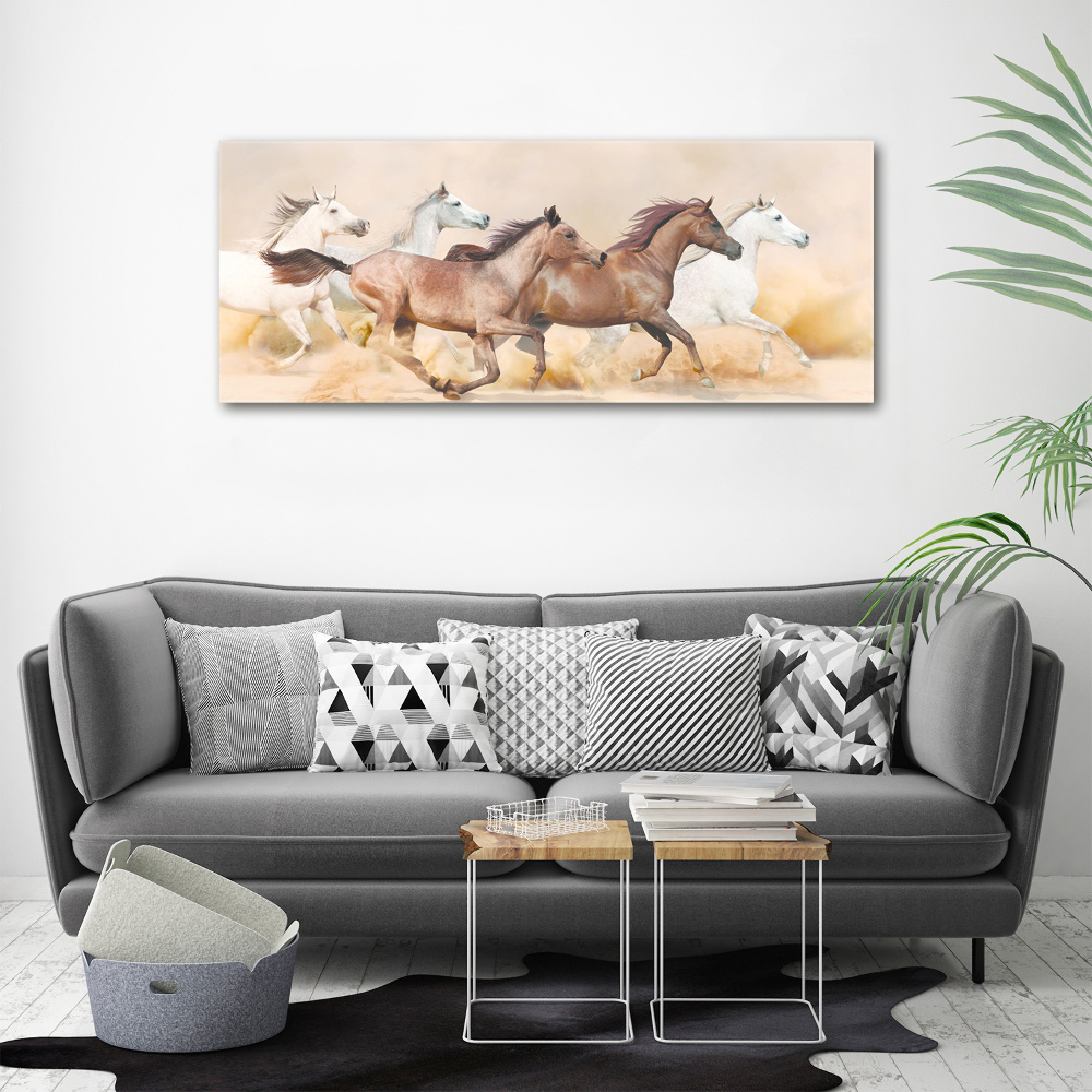 Acrylic print Horses at gallop