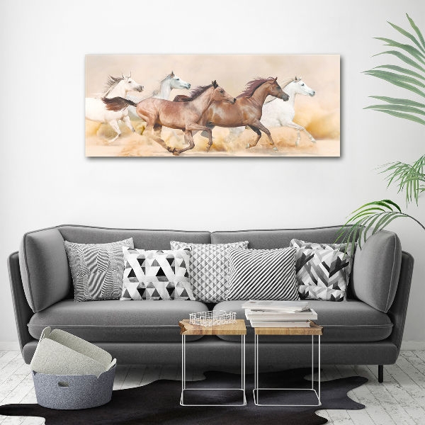 Acrylic print Horses at gallop