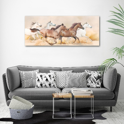 Acrylic print Horses at gallop