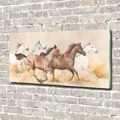 Acrylic print Horses at gallop