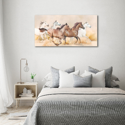 Acrylic print Horses at gallop