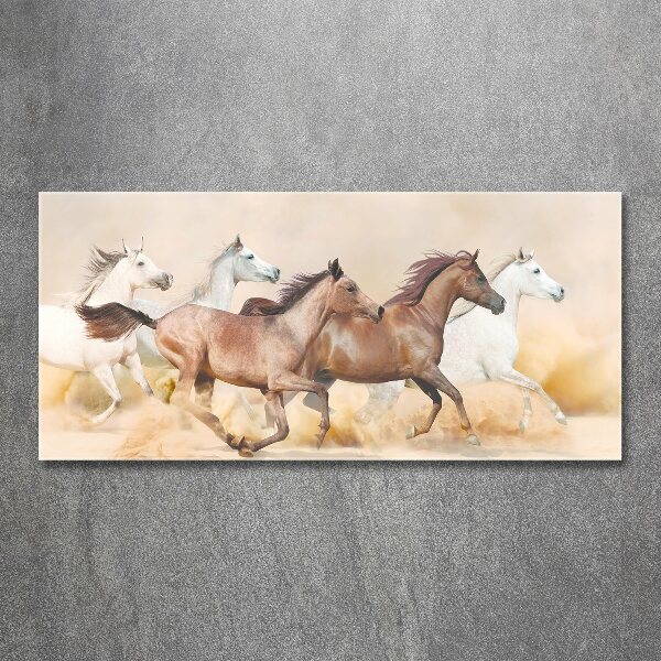 Acrylic print Horses at gallop