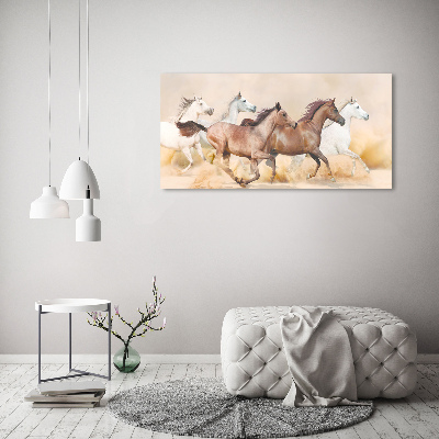 Acrylic print Horses at gallop