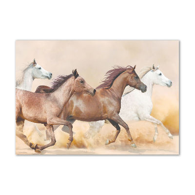 Acrylic print Horses at gallop