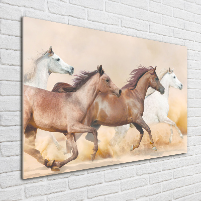 Acrylic print Horses at gallop