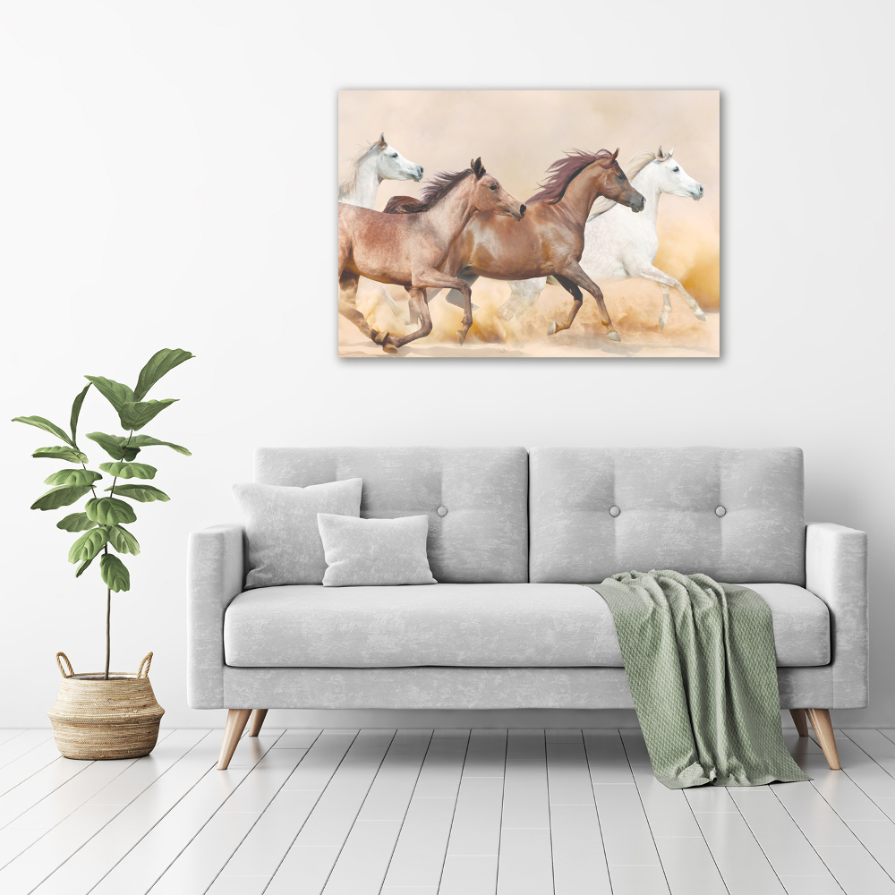 Acrylic print Horses at gallop