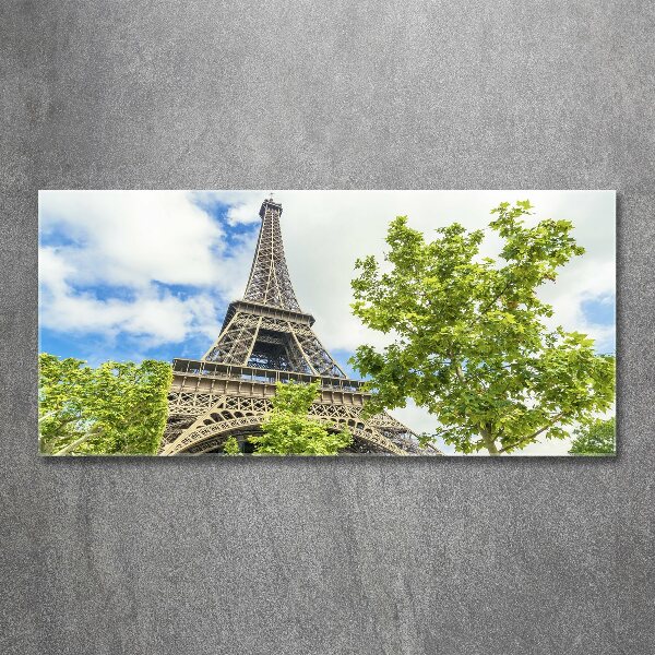 Glass acrylic wall art Eiffel Paris tower