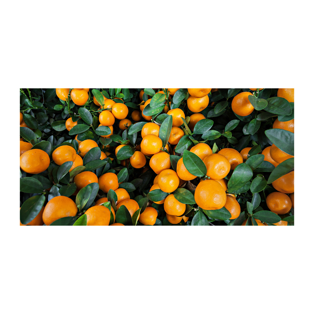 Glass acrylic wall art Tangerines