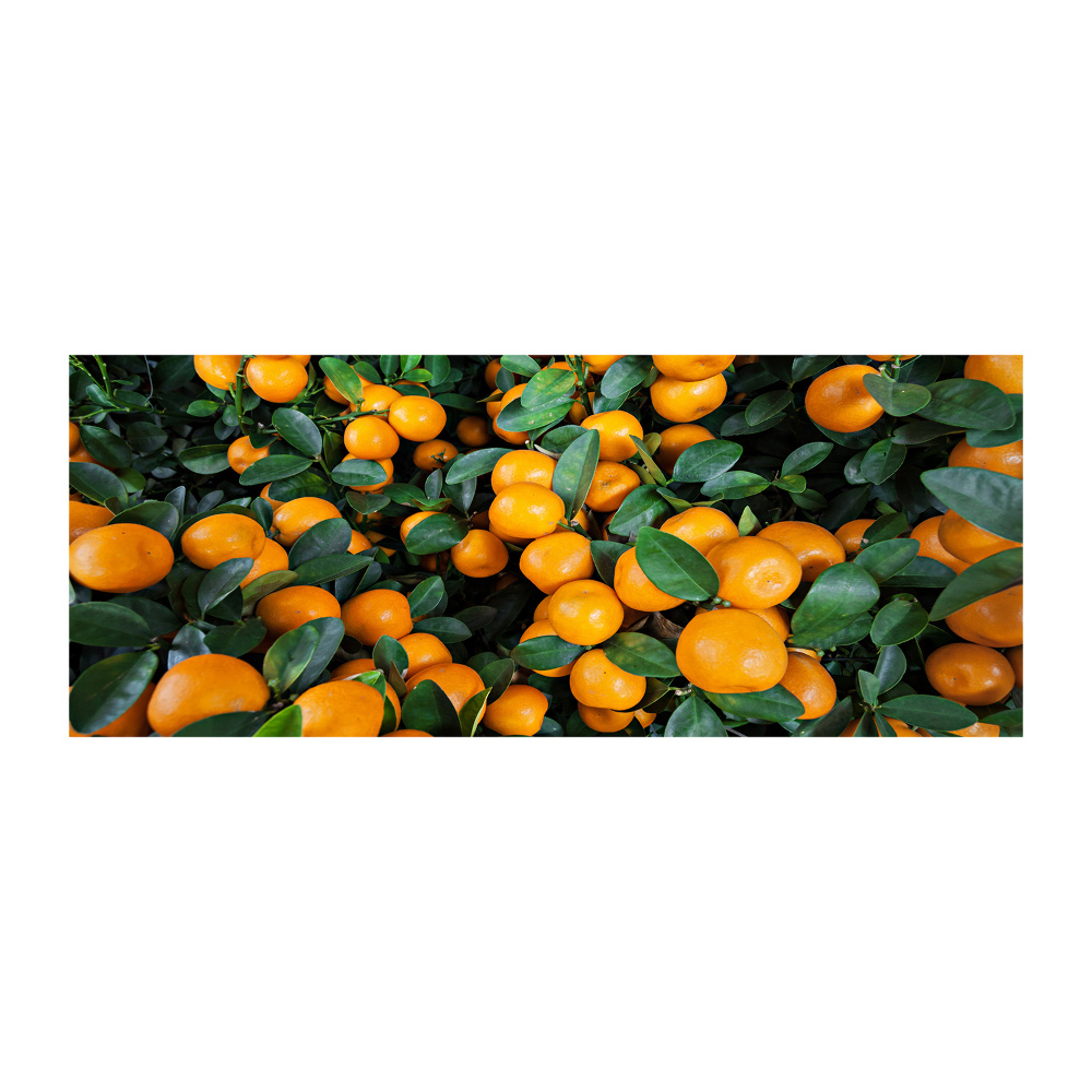 Glass acrylic wall art Tangerines