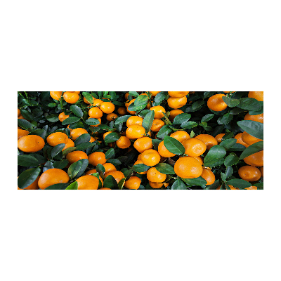 Glass acrylic wall art Tangerines