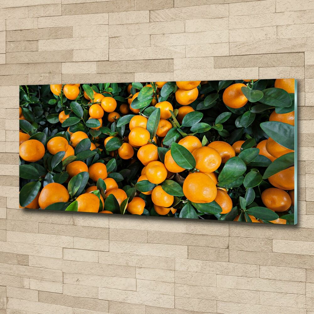 Glass acrylic wall art Tangerines