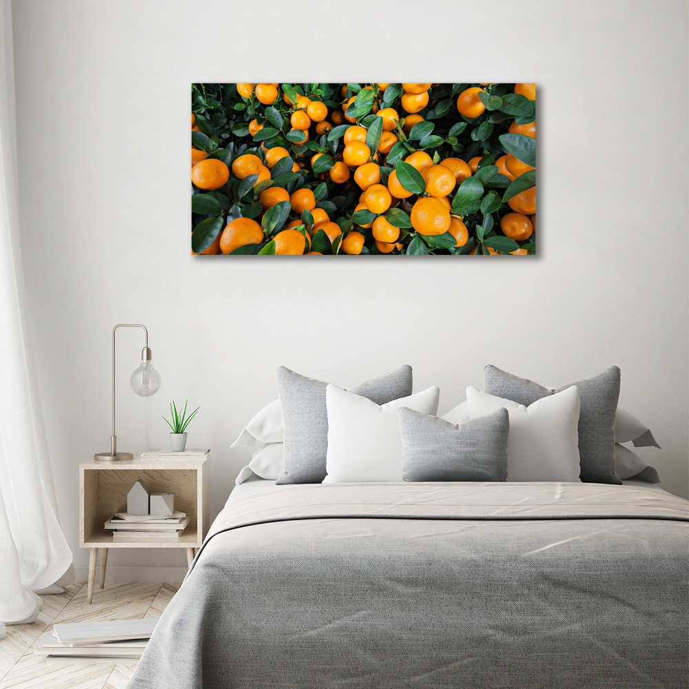 Glass acrylic wall art Tangerines