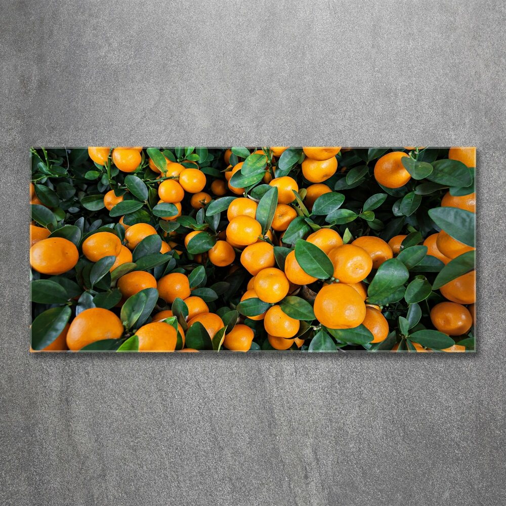 Glass acrylic wall art Tangerines