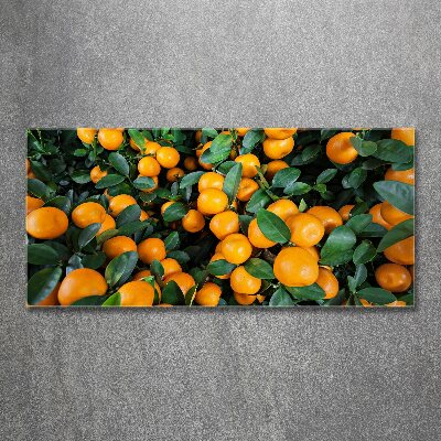 Glass acrylic wall art Tangerines